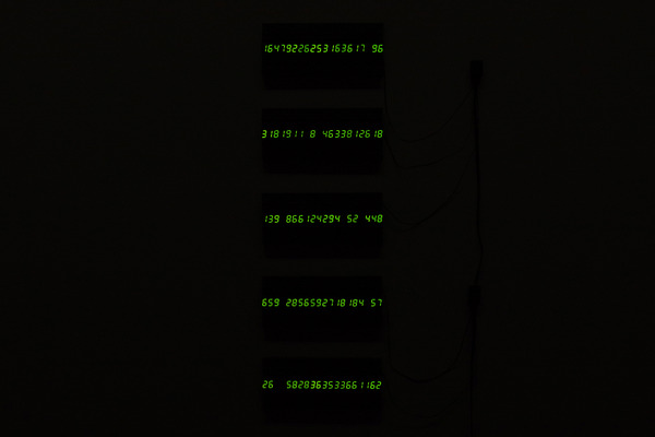 2023032729.JPG