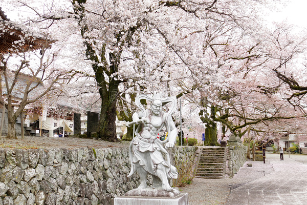 20124040423.JPG