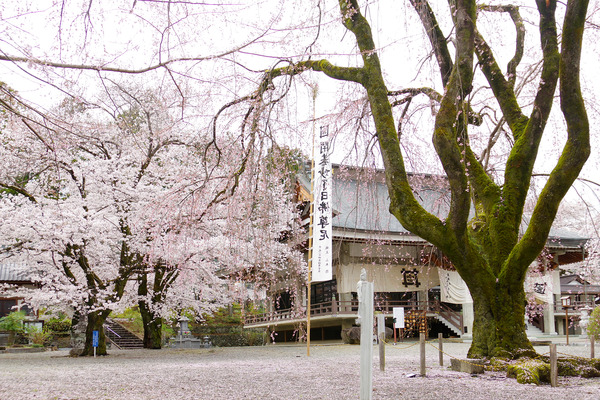 20124040424.JPG