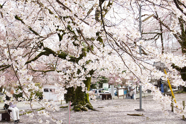 20124040425.JPG