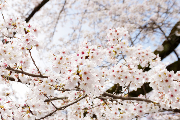 20124040426.JPG