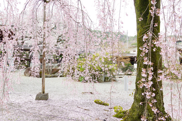 20124040428.JPG