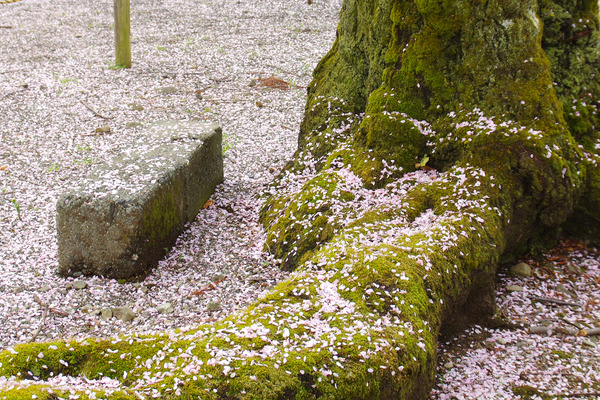 20124040431.JPG
