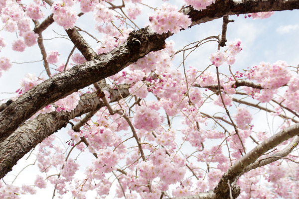 20124040432.JPG