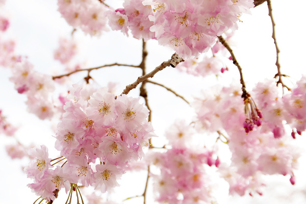 20124040433.JPG