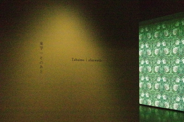 2024101723.JPG