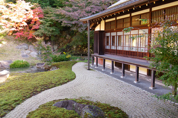 【鎌倉だより】錦秋の円覚寺