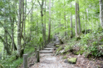 【秋たび】下呂温泉と中津川①