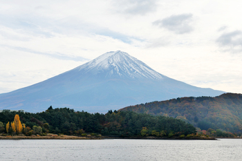【LUNCH】山梨 / cake & seasonal food ete