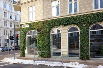 【北欧だより】窓辺の景色