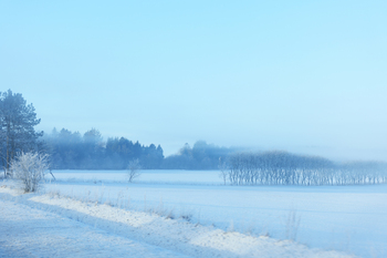 【北欧だより】季節はゆっくりと