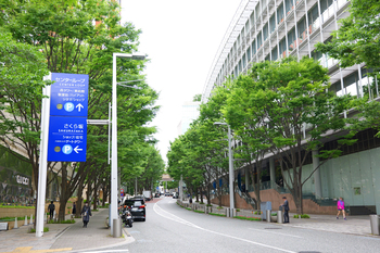 【六本木さんぽ・LUNCH】Bricolage bread&co.