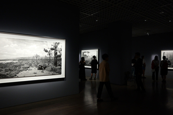 【ART】東京国立近代美術館/杉本博司 絶滅写真 展