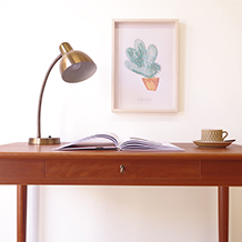 Gooseneck desk lamp in brass