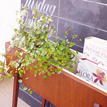Flower planter in teak