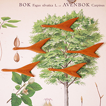 Wall-hanging birds in teak