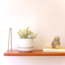 Wall shelf in teak&brass