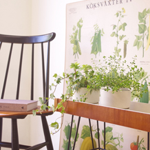 Flower planter