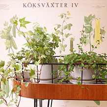 Flower planter
