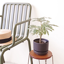 Monsterbeskyttet / Side table(Flower stand)