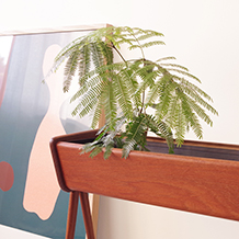 Flower planter in teak