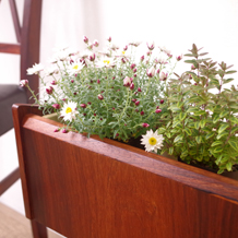 Flower planter in rosewood