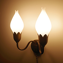Fog&Morup / Tulip wall lamp with 2 opaline shades