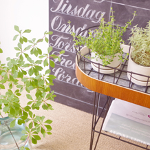 Flower planter