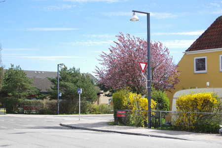 IMGP7228.jpg