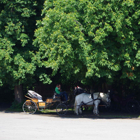 IMGP1801(720).jpg