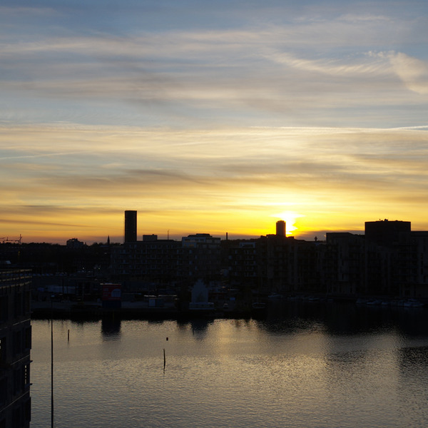 IMGP1484.jpg