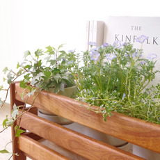 Flower planter in solid oak をアップしました