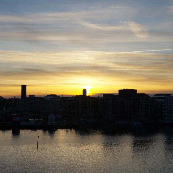 IMGP14841.jpg