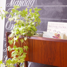 Flower planter in rosewood をアップしました