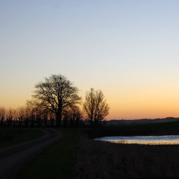 IMGP311711.jpg