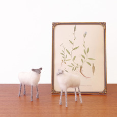 Picture frame & Campanula of lithographic booklet をアップしました