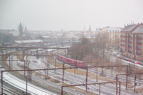 IMGP6151.JPG