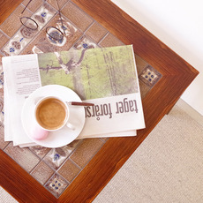 RoyalCopenhagen / Tile top table BACA in rosewood をアップしました