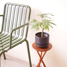 Tri-Leg table / Plant stand をアップしました