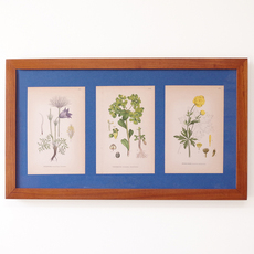 Carpenter made / Picture frame in solid teak をアップしました