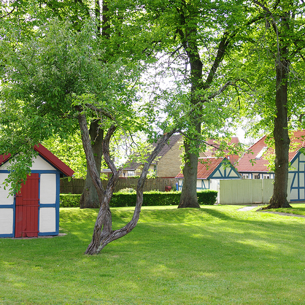 IMGP5514(720.jpg