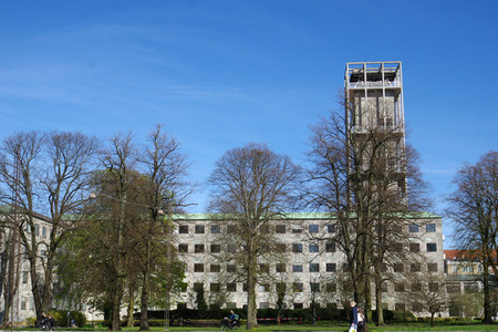 IMGP1896.JPG
